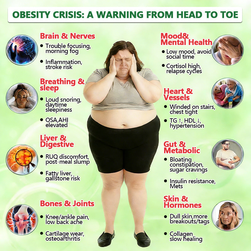 1 box - Lose up to 8lbs